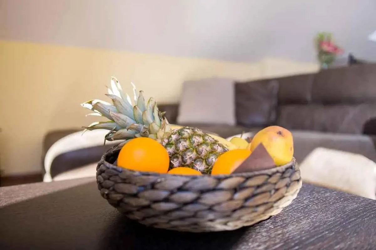 Apartments In Crikvenica 49872